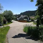 Ankommen Und Loswandern Familien Und Hundeurlaub Im Hochschwarzwald Haus Maria Lejlighed St. Blasien