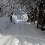 Ankommen Und Loswandern Familien Und Hundeurlaub Im Hochschwarzwald Haus Maria *