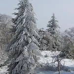公寓 Ankommen Und Loswandern Familien Und Hundeurlaub Im Hochschwarzwald Haus Maria *
