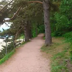 Ankommen Und Loswandern Familien Und Hundeurlaub Im Hochschwarzwald Haus Maria Lejlighed *
