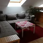 Ankommen Und Loswandern Familien Und Hundeurlaub Im Hochschwarzwald Haus Maria