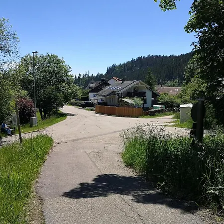 Haus Maria Schwarzwald Lejlighed St. Blasien