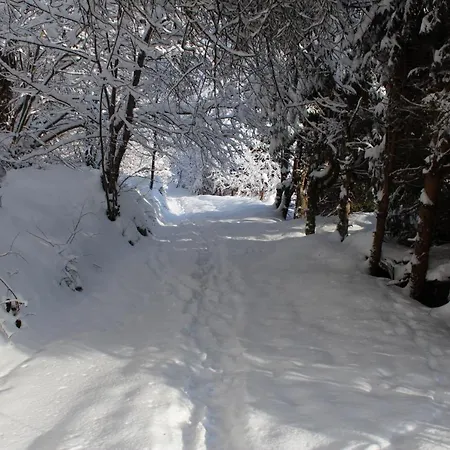Ankommen Und Loswandern Familien Und Hundeurlaub Im Hochschwarzwald Haus Maria *