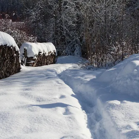 Lejlighed Haus Maria Schwarzwald St. Blasien