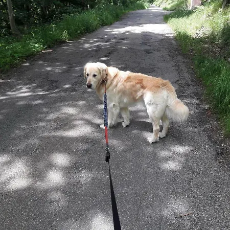 Haus Maria Schwarzwald St. Blasien